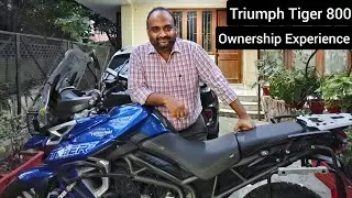 Tiger 800 | Ownership Review |