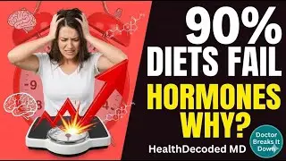 😩 Почему 90% диет терпят неудачу: объяснение действия гормонов голода