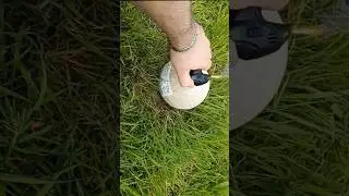 Bomber Guy 6