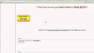 $100 Per Day Review - WSO
