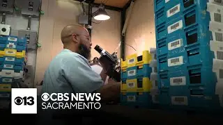 California prison program helps inmates transition into workforce upon release