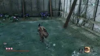Sekiro late game farming (5000xp/min, 850g/min)