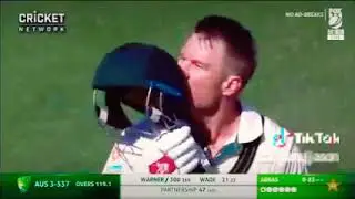 David Warner 300 celebration
