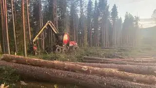 Komatsu 931 c124 Clearcut Norrbotten