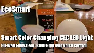 Умная лампа Ecosmart, полноцветная и с оттенками белого BR40