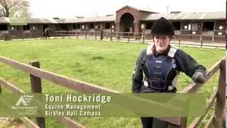 Equine Management - Northumberland College Kirkley Hall Campus