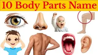 10 Body parts Name | body parts of name sikhen | bachon ke liye body parts or name 10 | अंगों के नाम