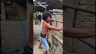 hhahHHHha
