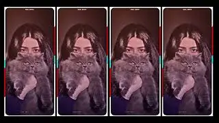 MEOW MEOW NEW TREEND XML (BANGLA SONG) LYRICS NEW TRENDING XML FILE