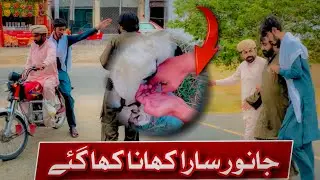 Bhoky ko Khana Khilana Azeem Amal Hay🙂🙏 | Panga Production