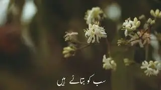 #shorts #statusMuslim girl burka  #yshorts #short#youtubeshortsAur Hazrat Ali Ka Farman Hai❤ #shorts
