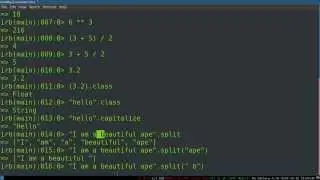 Programming Ruby 04 -- Objects, Messaging, and Basic Types