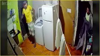 The Worst Mistake Ever: When a Guard Dog Caught the Thief Red-Handed