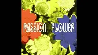 T-Square - Passion Flower (2005) - 2. More than Lemonade