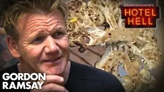 The Most DISGUSTING Food Gordon Has Tasted | COMPILATION | Hotel Hell