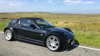 Smart roadster brabus wing mirror leak has beaten me!
