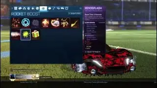 My Rocket league garage and stats