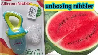 When can I give my baby a nibbler? | luvlap nibbler