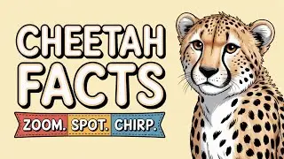 Cheetah Facts for Kids | Rocket Runners and Chirping Cubs