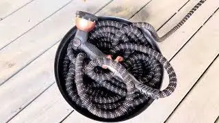 Pocket Hose Copper Bullet Expandable Hose Review