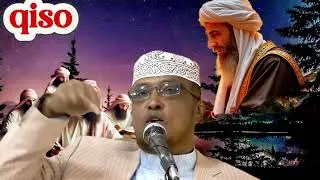 qiso cajib 