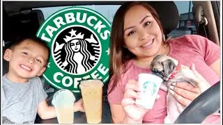 I Took My Puppy To Get A STARBUCKS PUPPACCINO *funny*