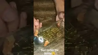 Bed In a Bottle 😲