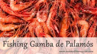 How is Gamba de Palam&oacute;s Fished