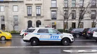 NYPD police cars in New York