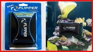 FL!PPER Flipper Cleaner Float   2 in 1 Floating Magnetic Aquarium Glass Cleaner   Fish Tank Cleaner