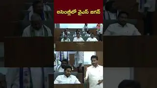 YS Jagan At AP Assembly | అసెంబ్లీలో వైఎస్ జగన్ | Ntv