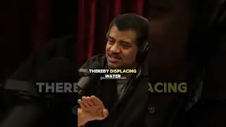 Magpie Solves Water Problem &ndash; Neil deGrasse Tyson 😱#sciencefacts #mindblowingfacts #shorts