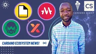 Cardano Scoop - MELD Design Diary, NFTs & Credit Cards, Genius X and WingRiders Partnerships!