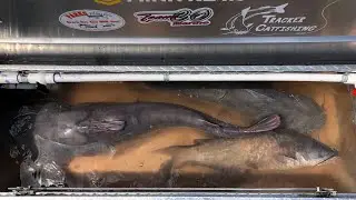 How to make a livewell for catfishing tournament&rsquo;s   D.I.Y. SUPER EASY!!