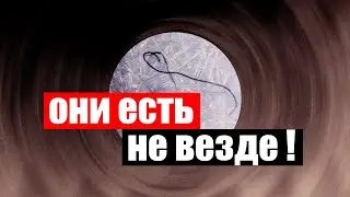 ТРИ опыта ... ЧЕРВИ есть НЕ ВЕЗДЕ!