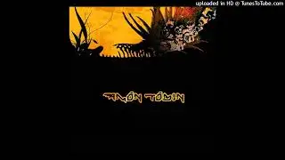 Amon Tobin - Freeformed