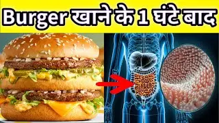 What Happens to Your Body After Eating a Burger? | Burger Side Effects