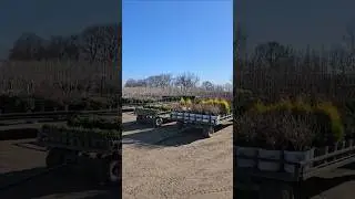 Carts loaded, plants rolling! Check out this week&rsquo;s orders heading out from the dock in style ✨️