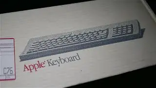 NOS Apple M0116 Keyboard Sound Test | Alps SKCM Salmon | ASMR