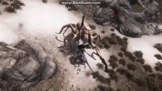 Artorias test ingame bleak