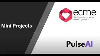 INTERREG VA ECME Mini Projects COVID 19 Response: PulseAI