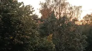 Peaceful real City soundscape 01