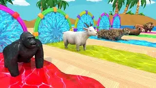 Epic 3D Animal Water Slide Race: Gorilla, Goat & Leopard in Tropical Showdown!  | Funny 3d Animals