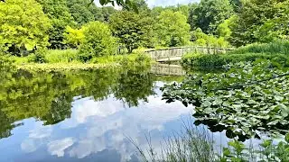 Beautiful Day at Meadowlark Botanical Gardens!🍃🌸🇺🇸 4K Vienna Virginia Travel  Vlog