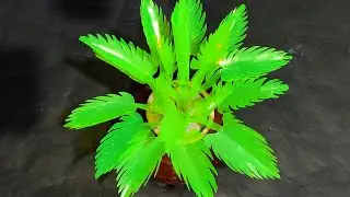 how to recycled plastic bottles mountain dew, recycled plant crafts