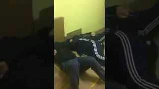 Полосатые консьержи  Балашиха, Дмитриева, 18