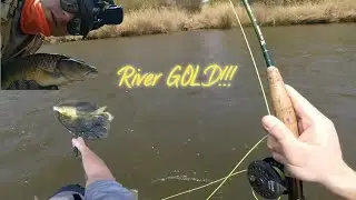 Flyfishing for Smallmouth Yellowfish in the Vaal River. #flyfishing #catchandrelease  #southafrica