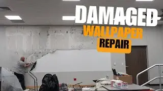 Wallpaper Damage Repair