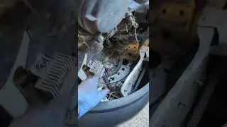 Расположение звукового сигнала Citroen Berlingo, партнера Peugeot