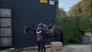 Advert reference - 386386